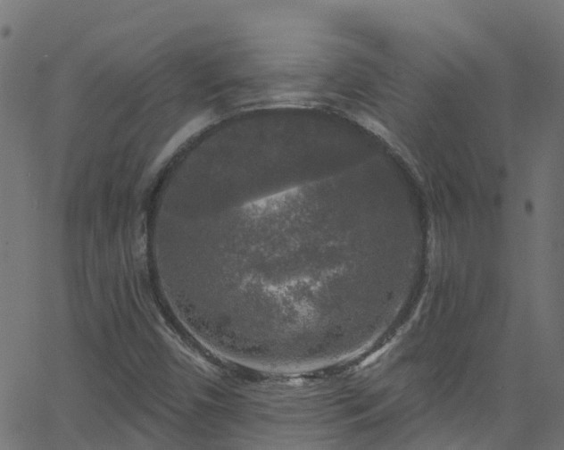 X0000068771450200605011015