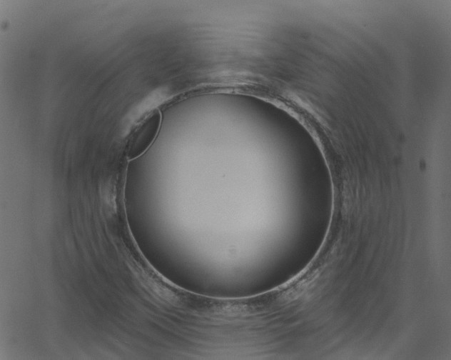 X0000068771451200605011015