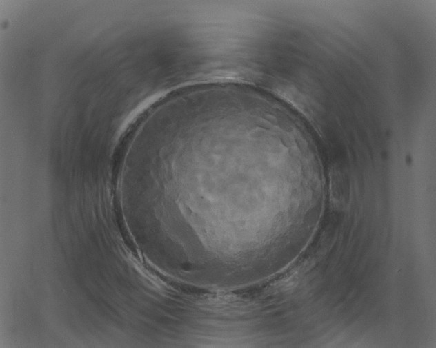 X0000068771452200605011015