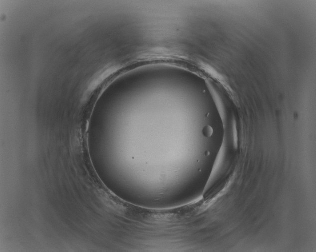 X0000068771453200605011015