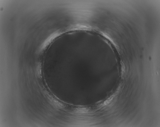 X0000068771455200605011015