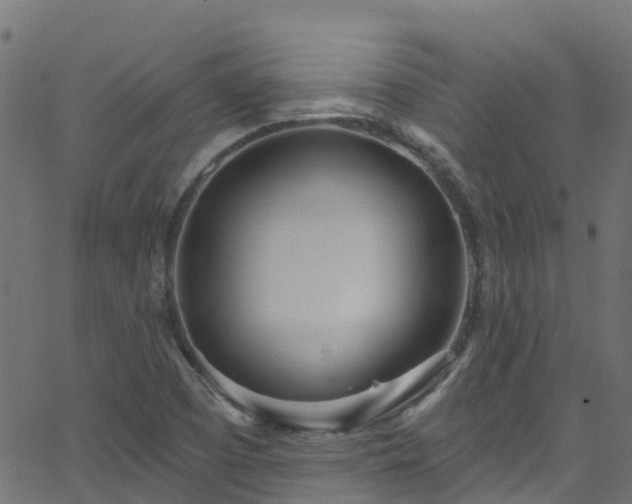 X0000068771457200605011015