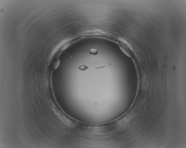 X0000068771458200605011015