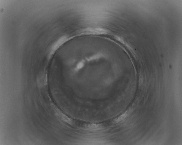 X0000068771459200605011015