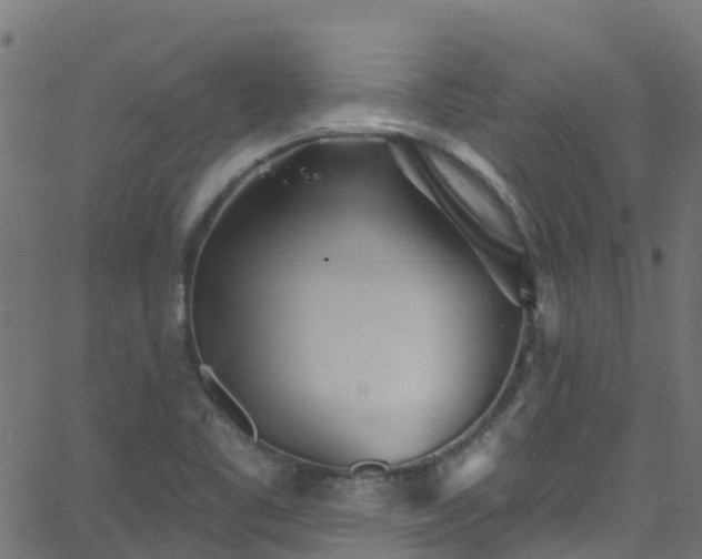 X0000068771461200605011015