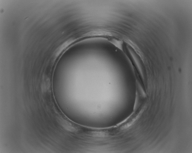 X0000068771465200605011014