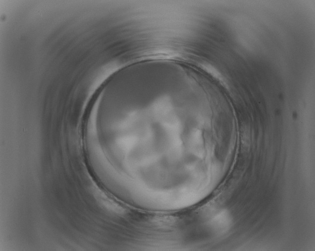 X0000068771466200605011014