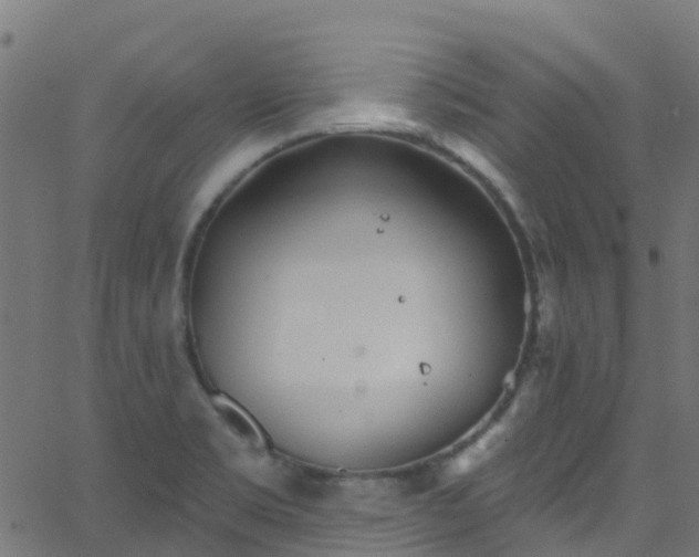 X0000068771469200605011014