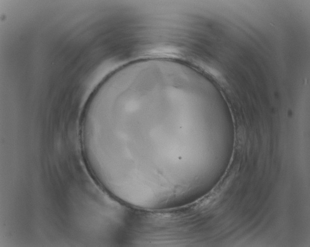 X0000068771470200605011014