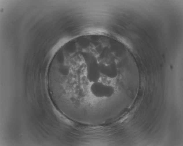 X0000068771471200605011014