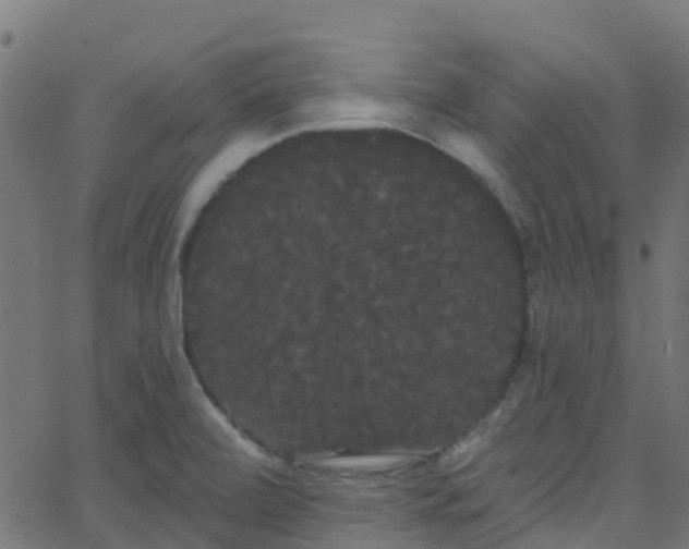 X0000068771472200605011014