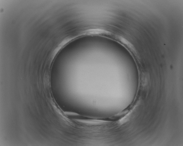 X0000068771473200605011014