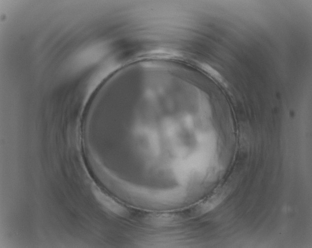 X0000068771474200605011014