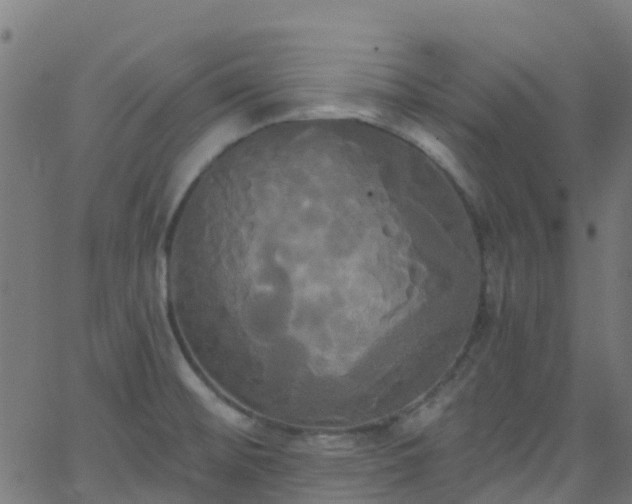 X0000068771476200605011014