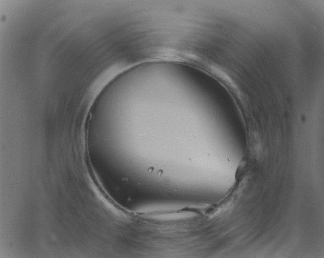 X0000068771479200605011014