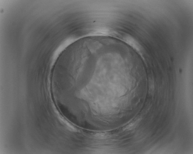 X0000068771480200605011014