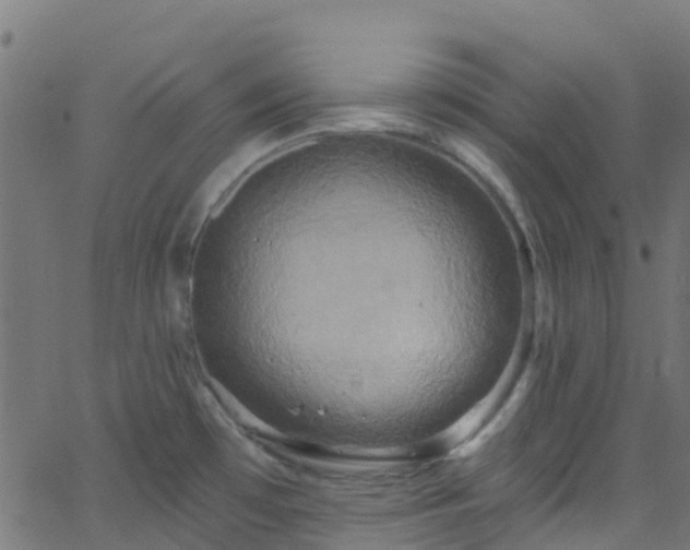 X0000068771481200605011014