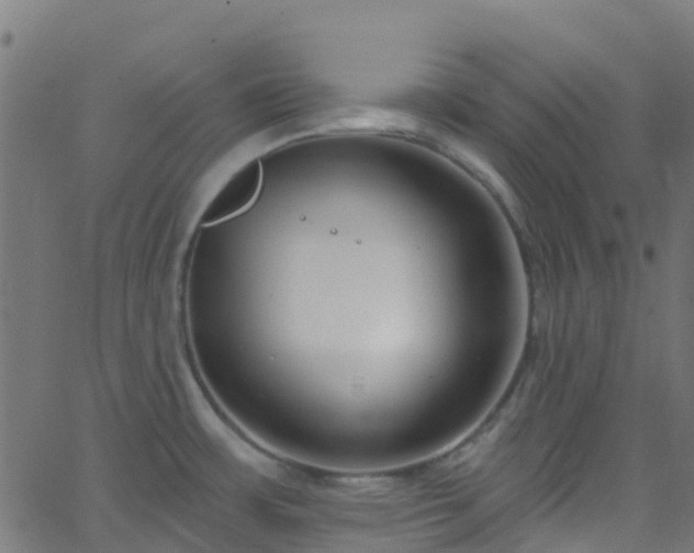 X0000068771483200605011014