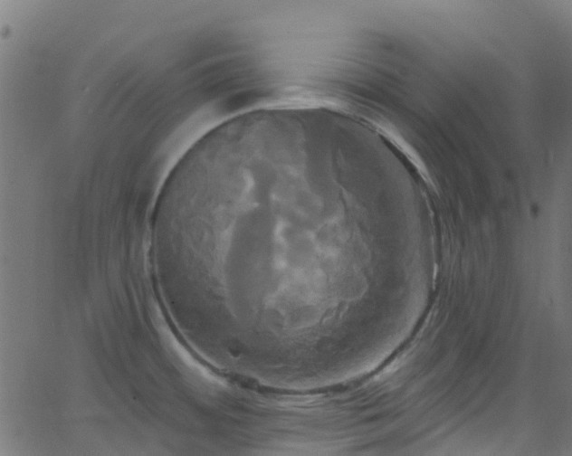 X0000068771484200605011014