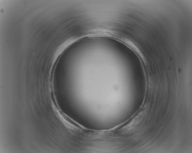 X0000068771485200605011014