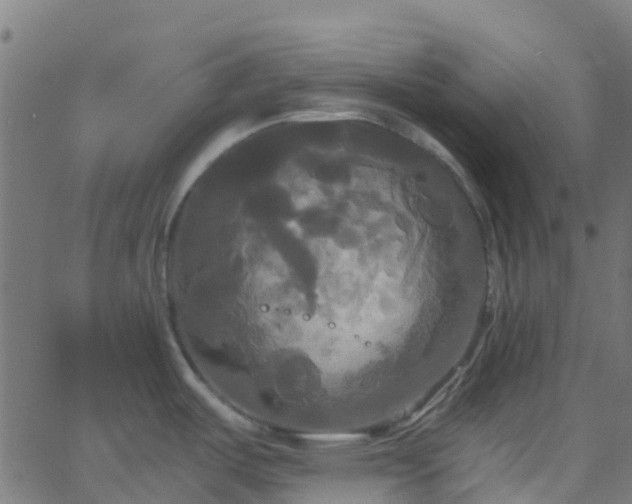 X0000068771487200605011014