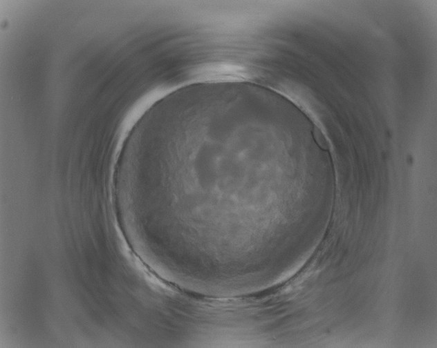 X0000068771488200605011014