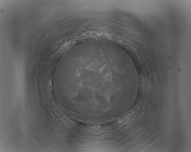 X0000068771489200605011013