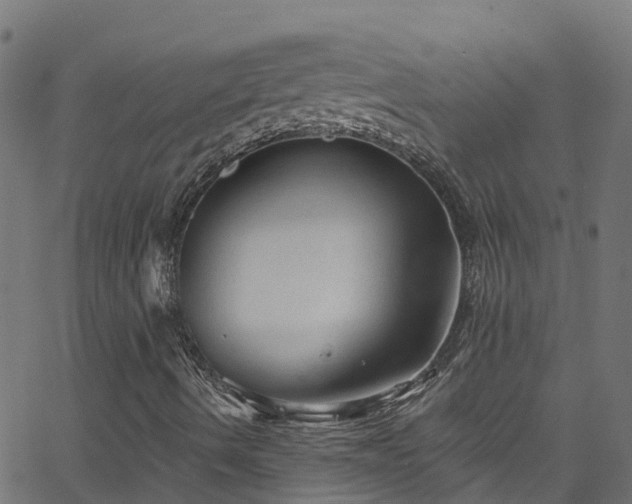 X0000068771490200605011013