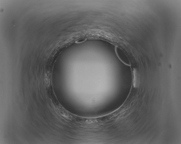 X0000068771491200605011013