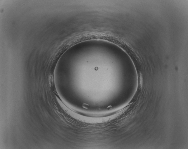 X0000068771492200605011013