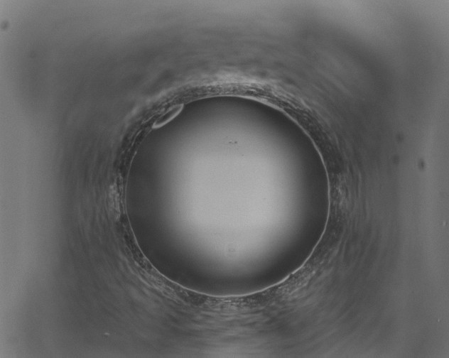 X0000068771493200605011013