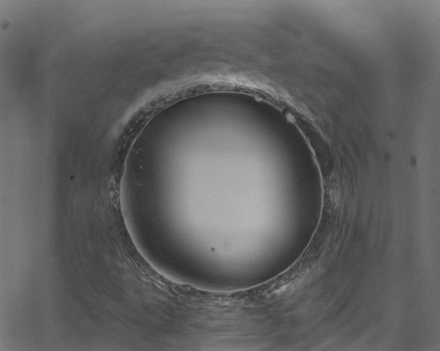 X0000068771495200605011013