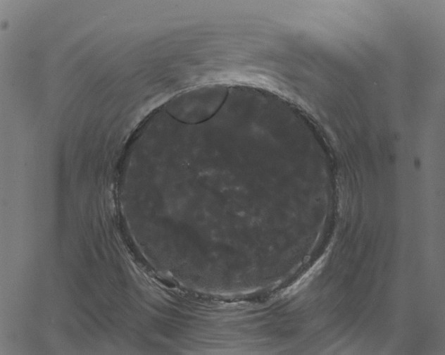 X0000068771497200605011013