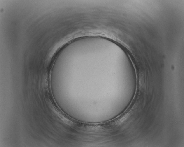 X0000068771498200605011013