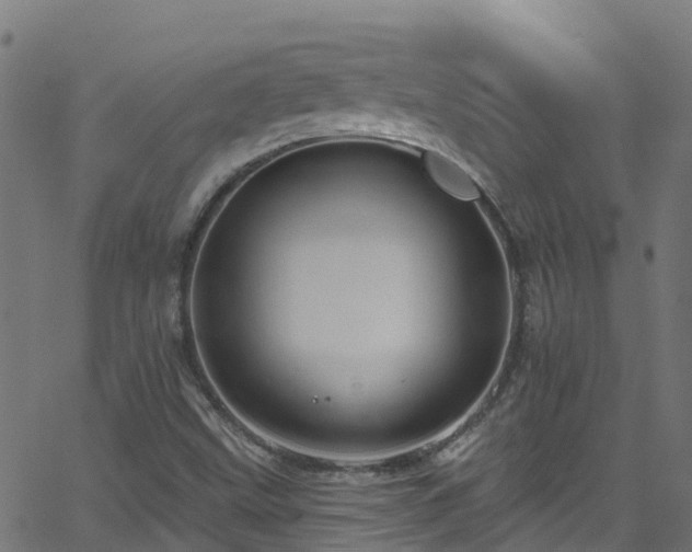 X0000068771499200605011013