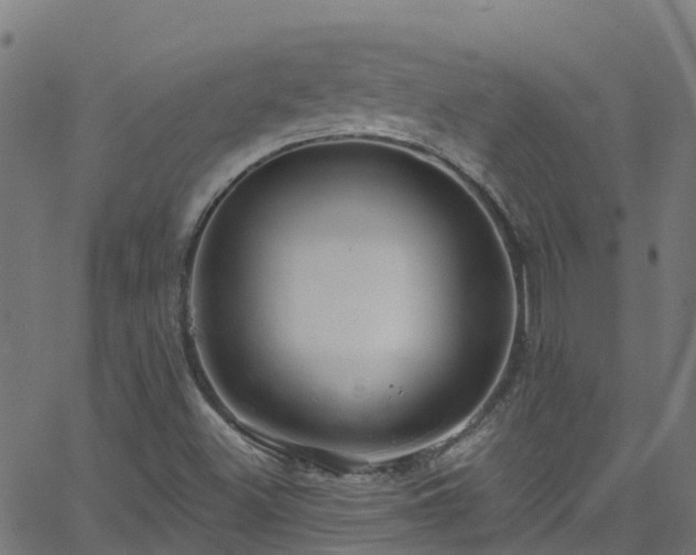 X0000068771500200605011013