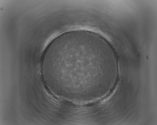 X0000068771501200605011013