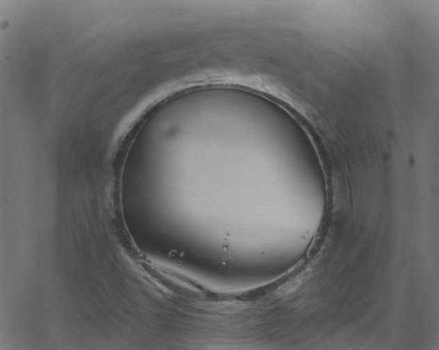 X0000068771502200605011013