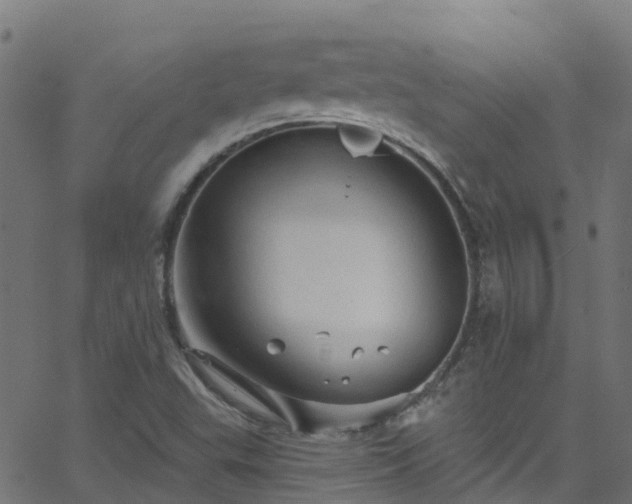 X0000068771503200605011013