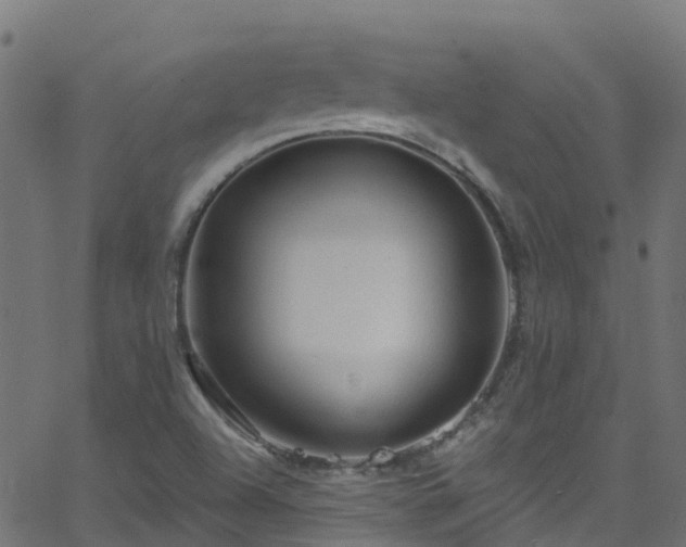 X0000068771504200605011014