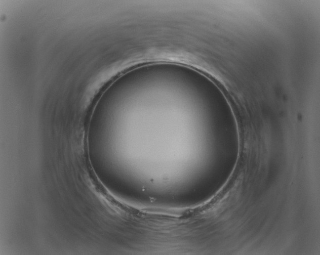 X0000068771507200605011014