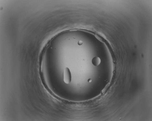 X0000068771508200605011014