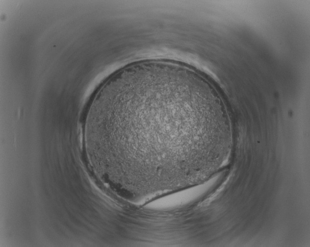 X0000068771509200605011014