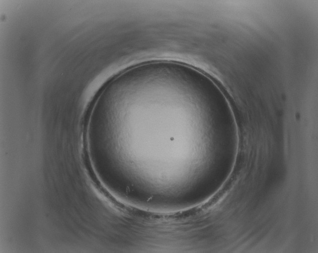 X0000068771511200605011014