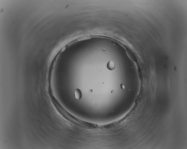 X0000068771512200605011014