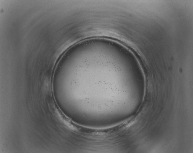 X0000068771513200605011014