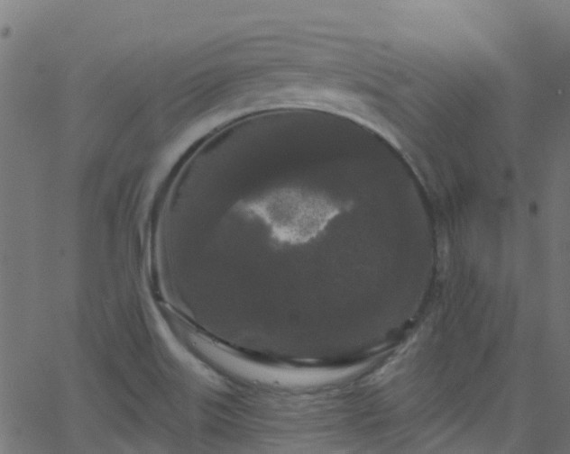 X0000068771515200605011014