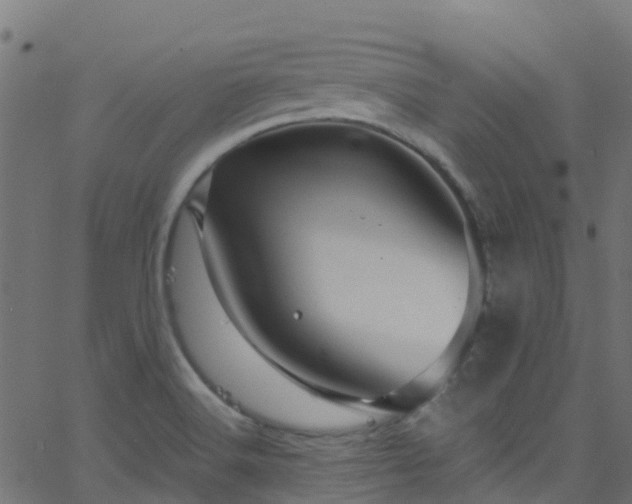 X0000068771516200605011014