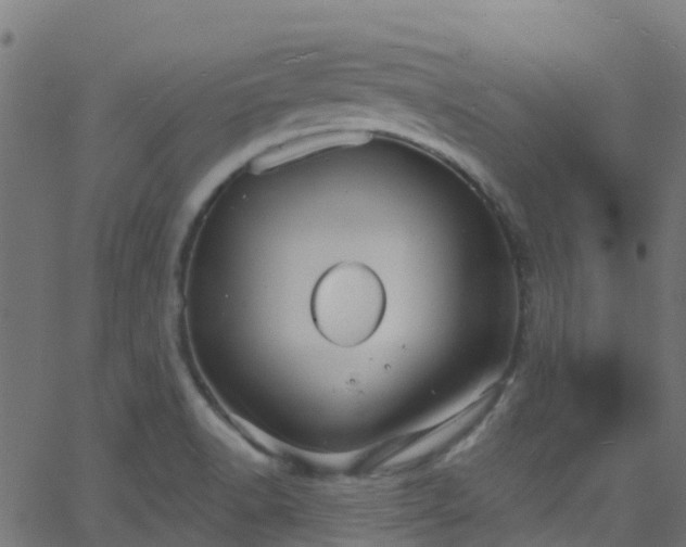 X0000068771518200605011014