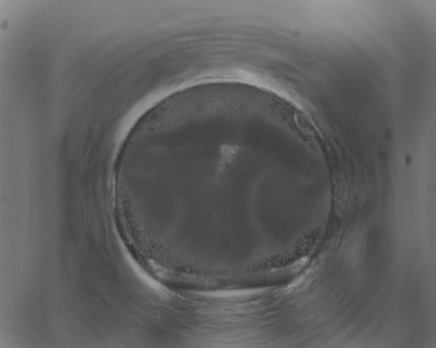 X0000068771519200605011014